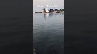 Oswego River Oswego New York 3rd October 2024 [upl. by Lamaaj]