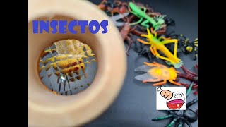 INSTRUCCIONES Y EXPLICACIÓN CIENTÍFICA Experimentos de ciencias para niños sobre los Insectos [upl. by Oiramd89]