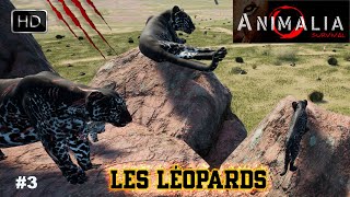 ANIMALIA SURVIVAL GAMEPLAY 3 CETTE FOIS NOUS INCARNONS LES LÉOPARDS DAFRIQUE [upl. by Neztnaj362]