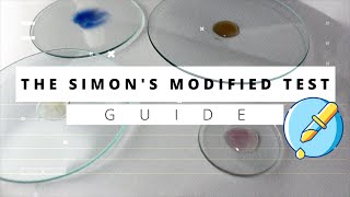 Modified Simons Test for Simple and Accurate Amphetamine Detection [upl. by Kippar]