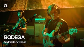 BODEGA  No Blade of Grass  Audiotree Live [upl. by Earal]