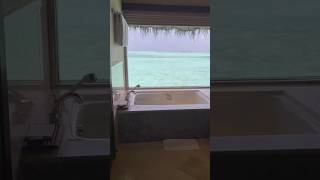 Room Tour Taj Exotica Maldives 💙 maldives tajhotels [upl. by Cobb]