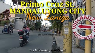 The vigorous P CRUZ STREET in Barangay New Zaniga in Mandaluyong City Philippines 112km [upl. by Hadias935]