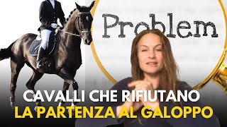 PROBLEMI A PARTIRE AL GALOPPO  Perché il cavallo si blocca e va contro gli aiuti [upl. by Grath]