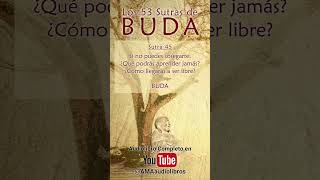 Buda  Sutra 45 Del Audiolibro Los 53 Sutras de Buda audiolibro buda budismo espiritualidad [upl. by Einaffyt]