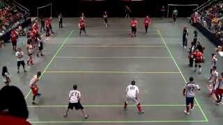 Canada vs USA  Mens Final  Dodgeball World Championship 2014  1st Half [upl. by Seek]