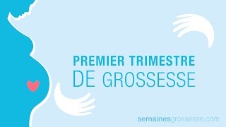 Premier trimestre de grossesse  La grossesse trimestre par trimestre [upl. by Tekla]