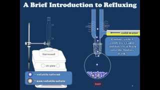 A Brief Introduction to Refluxing [upl. by Watson281]