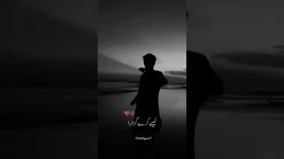 Daraar Ost Drama Black Screen Status  Pakistani Drama  urdushayari07 shorts shortsfeed [upl. by Raknahs]