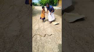 Village Snake Rooh E Daari video Viraltrending [upl. by Berghoff]