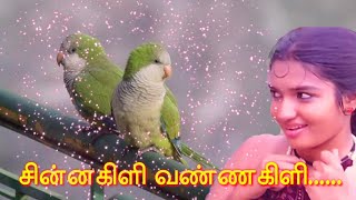 CHINNA KILI VANNA KILI  CHINNA GOUNDER 51 AUDIO SONG [upl. by Yesdnyl]