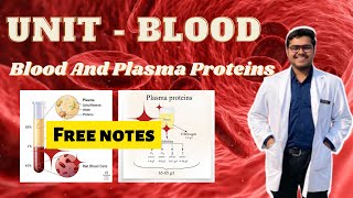 Blood and Plasma Proteins  MBBS 1st year physiology lectures  Blood physiology [upl. by Milford]