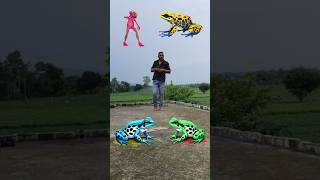 🤪Red  yellow  green amp blue frog to dancing funny frog 🐸🔥💯🙏vfx magic video 2024 shorts viral [upl. by Fredella]