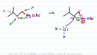 Oxymercuration Demercuration Reduction  Alkene Reaction Mechanism by Leah Fisch [upl. by Ynohtnacram]