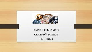 Class 9th Science Improvement in Food Resources  Animal Husbandry Lecture 4 [upl. by Leonerd]