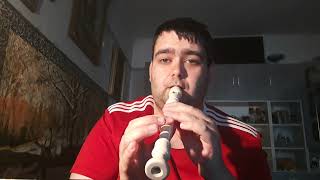 Sárközi Róbert  Betlehemi égen csillagok Recorder cover [upl. by Head295]