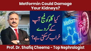 MetforminGlucophage Could Damage Your Kidneys [upl. by Idnak281]