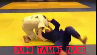 Judo tamoe nage [upl. by Hazaki]