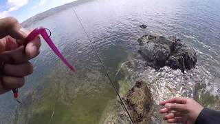 Lake Berryessa Prespawn Bass Fishing from Shore [upl. by Gennifer]