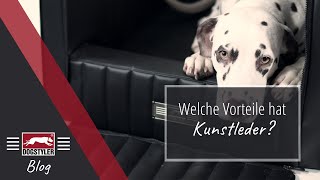 Hundebetten und Hundesitze aus KUNSTLEDER Was sind die Vorteile  Hundewissen 0005 [upl. by Adnaval824]