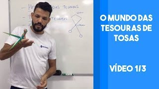 Como ser um TOSADOR TOP assistindo este vídeo  Aula 13 [upl. by Skipper]