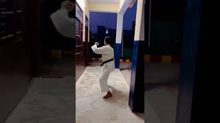 Goju Ryu yoriashi mawashi Geri kick shortsvideo martialartsviralreelsシ karate [upl. by Pucida]