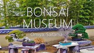 The Sacred Land of BONSAI  Omiya Bonsai Art Museum [upl. by Nimaj692]