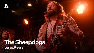 The Sheepdogs  Jesse Please  Audiotree Live [upl. by Ahs]