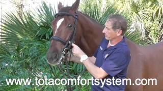 How to Fit your Tota Comfort System Nose Band [upl. by Ching]