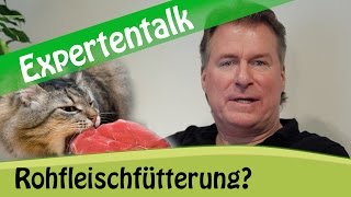 Barfen bei Katzen Ist Rohfleisch als Katzenfutter geeignet [upl. by Akibma]