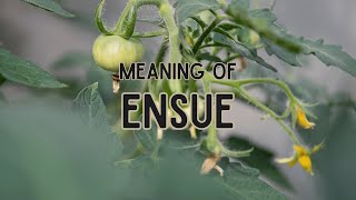 What is the meaning of Ensue [upl. by Callas]