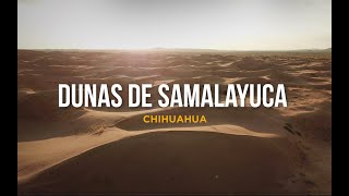 Dunas de Samalayuca  Cd Juarez Chihuahua [upl. by Sumerlin]