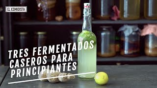 Refresco fruta y salsa tres fermentados caseros para principiantes  EL COMIDISTA [upl. by Dasha145]