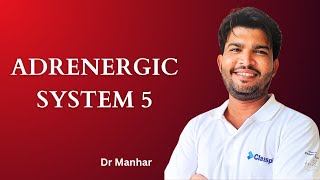 Adrenergic System 5  Adrenergic Receptors Physiology [upl. by Nathan]