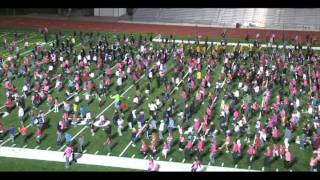 Cupid Shuffle at Get Pinked Rally Guinness World Record  Largest Cupid Shuffle [upl. by Polash668]