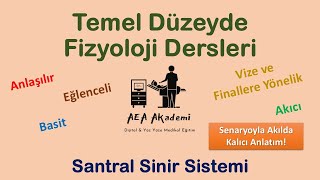 Temel Fizyoloji Dersleri Sinir Sistemi Fizyolojisi2 Santral Sinir Sistemi Fizyolojisi [upl. by Getter123]