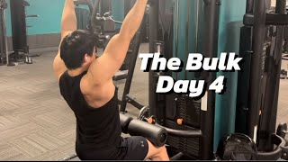 The Bulk Day 4 Back [upl. by Nerty]