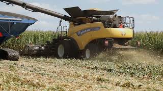 Yetter Stalk Devastator on a Drago GT  New Ag Supply [upl. by Aienahs943]