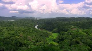 ¿Cuántas especies habitan en la cuenca hidrográfica del Canal de Panamá [upl. by Denbrook972]