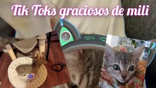 tiktoks graciosos de mili 😸 [upl. by Kessiah]