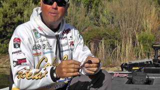 ChatterBait Basics with PAA Pro David Walker [upl. by Akoek798]