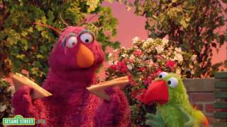 Sesame Street Math is Everywhere  Preview 3 [upl. by Reace]