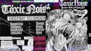 TOXIC NOISE quotDiscography 19901994quot gatefold LP TEASER [upl. by Niklaus]