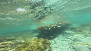 Rockpool snorkeling in Kalbarri Blue Holes [upl. by Akeihsat544]