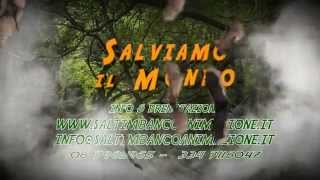 Saltimbanco animazione presenta quotSalviamo il mondoquot Mago Gigi Speciale  spettacolo dei pappagalli [upl. by Sylado]