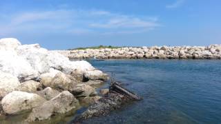 Fort Pierce Kayak Redfish [upl. by Nonnaihr]