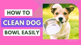 How To Clean And Sterilize Your Dogs Bowl Keep Your Furry Friend Healthy [upl. by Kaja232]