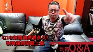 刺青復原要多久刺青QampA EP19 [upl. by Rundgren]