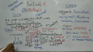 Practical 6 Cases Horner syndrome Pheochromocytoma First year Dr Mohamed Fayez [upl. by Basham]