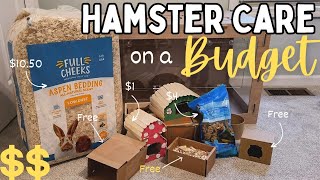 How to Set Up a HAMSTER Cage on a BUDGET 🐹💸  affordable hamster cage setup [upl. by Beverle]